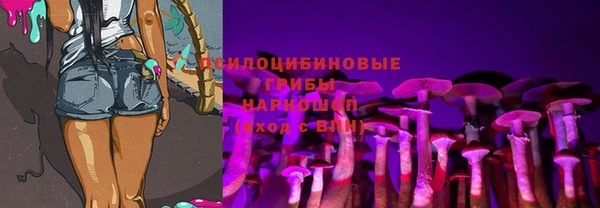 прущие грибы Аркадак