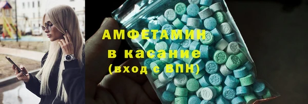 прущие грибы Аркадак