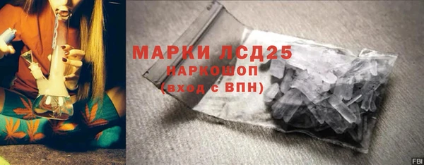 прущие грибы Аркадак