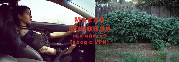 прущие грибы Аркадак
