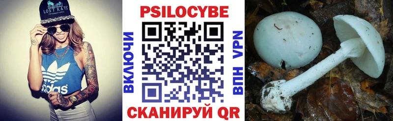 это официальный сайт  ссылка на мегу ССЫЛКА  Суджа  Псилоцибиновые грибы Psilocybe 